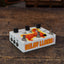 JAM Pedals Delay Llama Xtreme