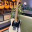 Fender Telecaster 1954 - Blonde with Black Pickguard