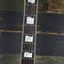 Fender Terry-1 Anniversary 1993 - Hand signed by Takeshi Terauchi