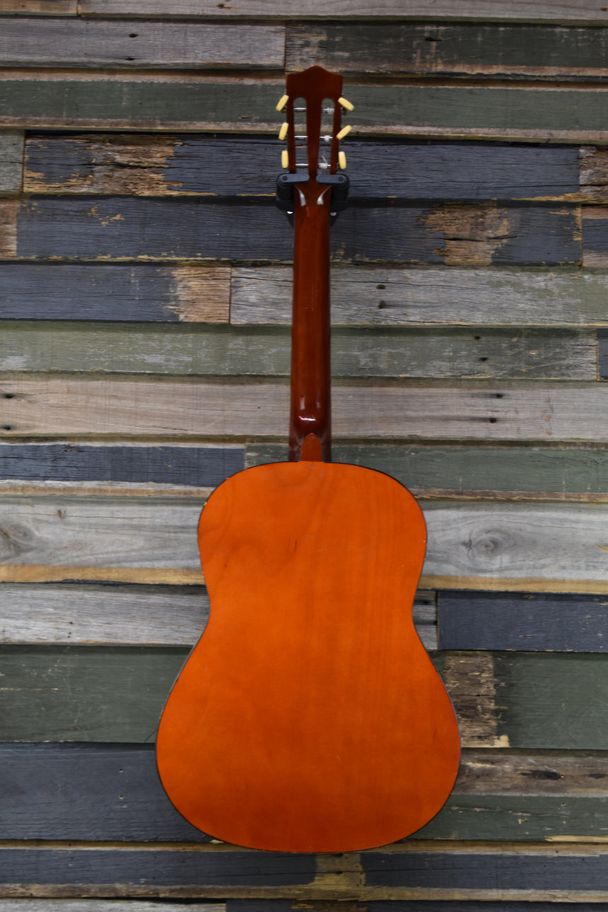 Ramada YGU-3901 Classical 1960's - Sunburst