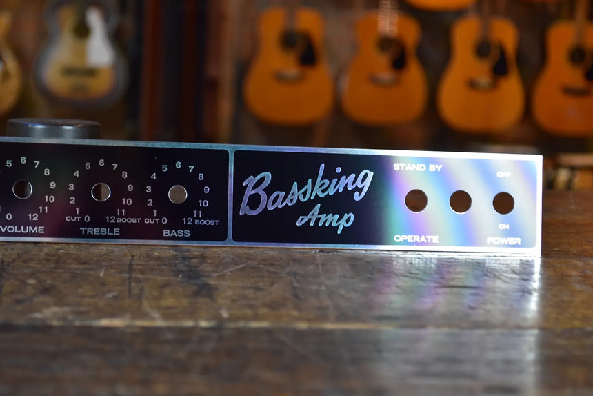 Rex BassKing Amp Faceplate 70's